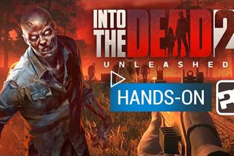 INTO THE DEAD 2: UNLEASHED = NO IAPS