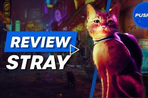 Stray PS5 Review: This Atmospheric Adventure Is The Cat's Pyjamas