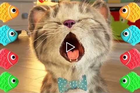 Little Kitten Preschool My Favorite Cat Pet Care - Early Learning Games For Kids Toddlers Children