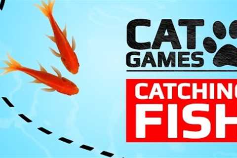 CAT GAMES - CATCHING FISH (ENTERTAINMENT VIDEOS FOR CATS TO WATCH)