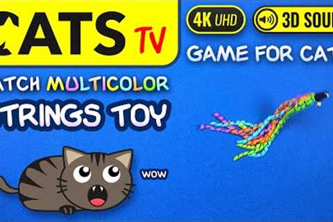 CAT GAMES - CATCH multicolor string ribbons 😼🎗️ 4K [Cats TV] 🕒 3 hours