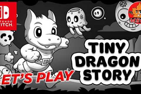 LET''S PLAY TINY DRAGON STORY on Nintendo Switch Performance Review