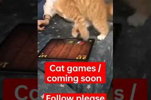 #cat #games #app , follow us and get the app link below , 5 more videos check the app features