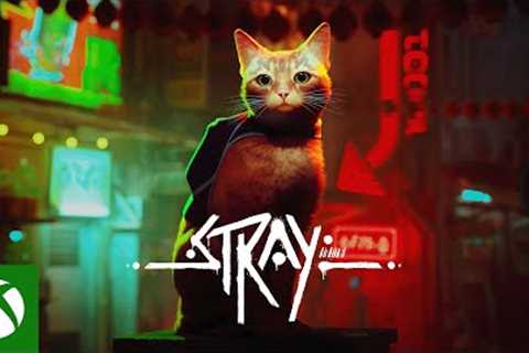 Stray - Coming to Xbox August 10