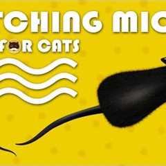 CAT GAMES - Catching Mice! Entertainment Video for Cats to Watch | CAT & DOG TV.