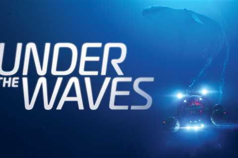 Under the Waves: A Tale of Hope for the Future