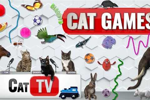 CAT Games | Ultimate Cat TV Compilation Vol 53 | 2 HOURS 🐝🐞🦋🦎🦜🐜🐭🧵