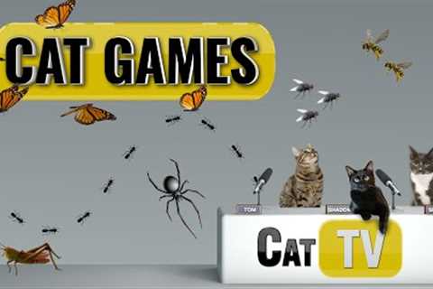 Cat Games | Ultimate Cat TV Bugs and Butterflies Compilation Vol 2 | Videos for Cats to Watch🐱