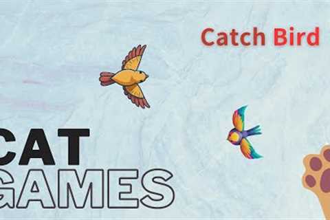 【Videos For Cat】 Cat Games : Catch Bird | Cat Toy | App For Cats | Bird Sound