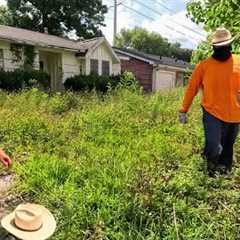 We HAD to ABANDON This OVERGROWN Yard Transformation After Getting ATTACKED