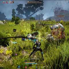 Transitioning Worlds: Black Desert Online Shifts Focus, Leaving Some Players Behind