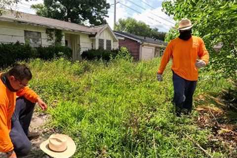 We HAD to ABANDON This OVERGROWN Yard Transformation After Getting ATTACKED