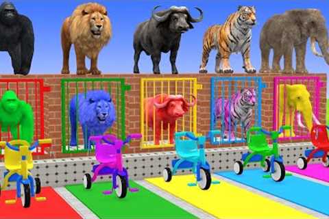 Long Slide Game With Cow Elephant Gorilla Hippopotamus Tiger 3d Animal Game Funny 3d Animals